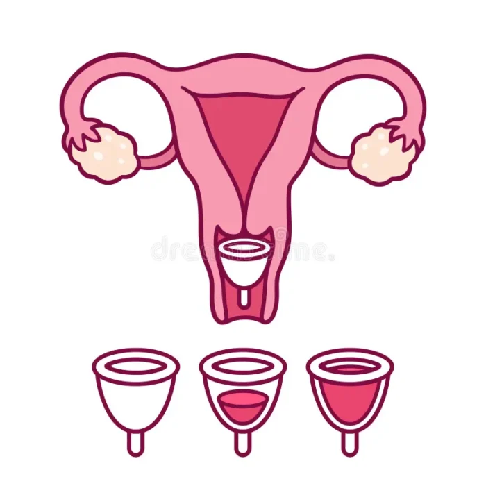 Reusable Silicone Period Cup